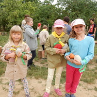 Závěrečná oddílovka