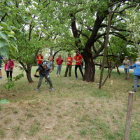 Závěrečná oddílovka