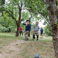 Závěrečná oddílovka