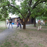 Závěrečná oddílovka