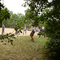 Závěrečná oddílovka