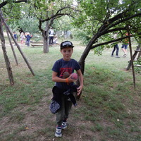 Závěrečná oddílovka