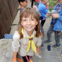 Závěrečná oddílovka