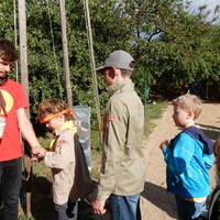 Závěrečná oddílovka