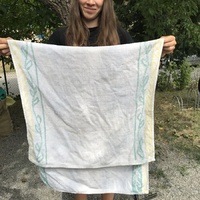 Ztráty a nálezy z tábora