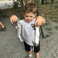 Ztráty a nálezy z tábora