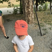 Ztráty a nálezy z tábora