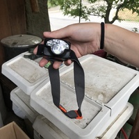 Ztráty a nálezy z tábora