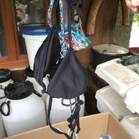 Ztráty a nálezy z tábora