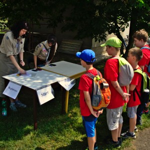 Závody vlčat a světlušek 2018