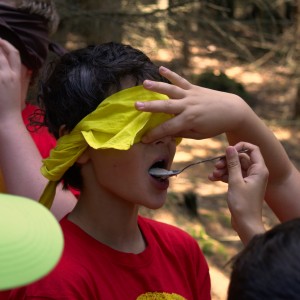 Závody vlčat a světlušek 2018