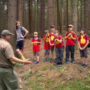 Závody vlčat a světlušek 2018