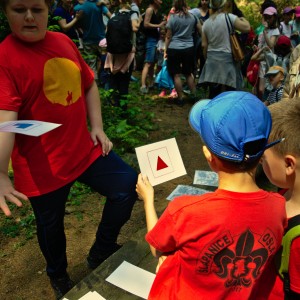 Závody vlčat a světlušek 2018