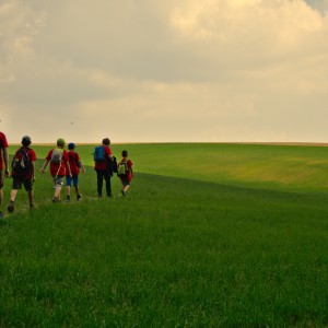 Závody vlčat a světlušek 2018