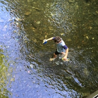 Fotky ze schůzek Lišek (květen a červen 2019)