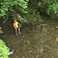 Fotky ze schůzek Lišek (květen a červen 2019)