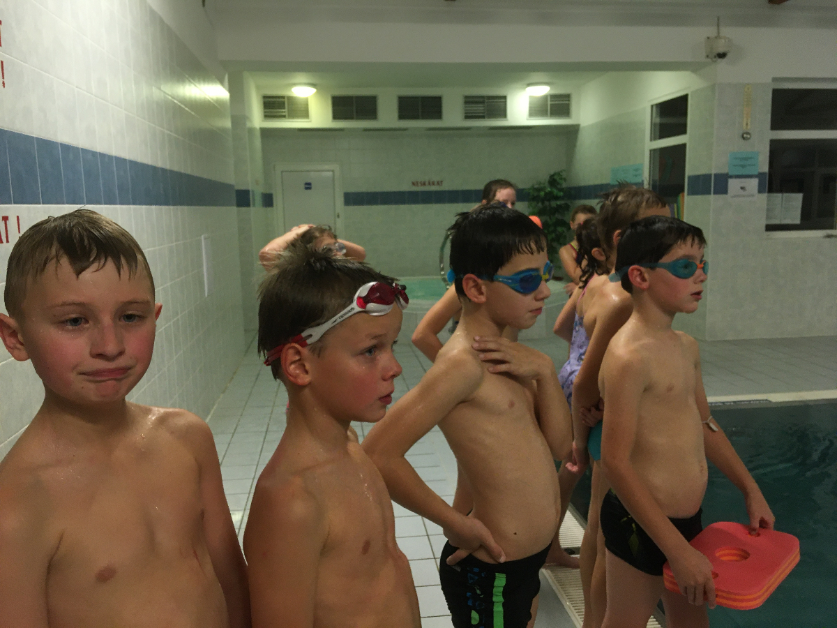 Lišky na bazéně (25.11.2019)