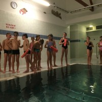 Lišky na bazéně (25.11.2019)