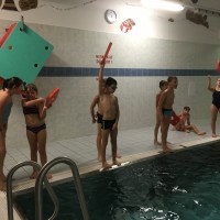 Lišky na bazéně (25.11.2019)