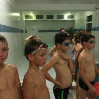 Lišky na bazéně (25.11.2019)