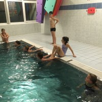 Lišky na bazéně (25.11.2019)