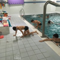 Lišky na bazéně (25.11.2019)