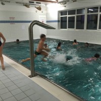 Lišky na bazéně (25.11.2019)