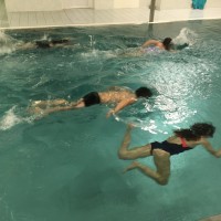 Lišky na bazéně (25.11.2019)