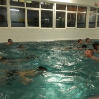 Lišky na bazéně (25.11.2019)