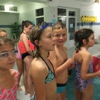 Lišky na bazéně (25.11.2019)