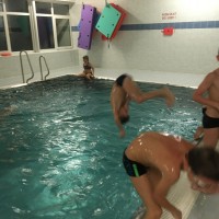 Lišky na bazéně (25.11.2019)