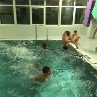 Lišky na bazéně (25.11.2019)