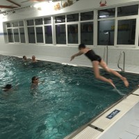 Lišky na bazéně (25.11.2019)