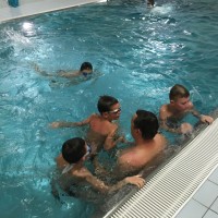 Lišky na bazéně (25.11.2019)