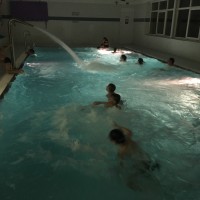 Lišky na bazéně (25.11.2019)