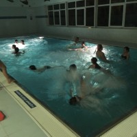 Lišky na bazéně (25.11.2019)