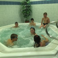 Lišky na bazéně (25.11.2019)