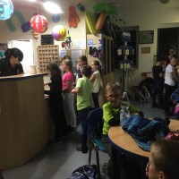 Lišky na bazéně (25.11.2019)