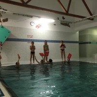 Lišky na bazéně (25.11.2019)