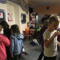 Lišky na bazéně (25.11.2019)