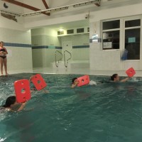 Lišky na bazéně (25.11.2019)