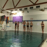 Lišky na bazéně (25.11.2019)