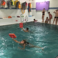 Lišky na bazéně (25.11.2019)