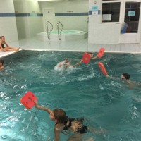 Lišky na bazéně (25.11.2019)