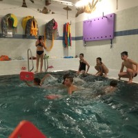 Lišky na bazéně (25.11.2019)