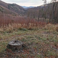 Zimní výprava Lišek za tajemným srubem