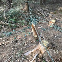 Zimní výprava Lišek za tajemným srubem