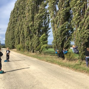 Výprava Lišek do Záchranné stanice v Bartošovicích (29.9.2019)