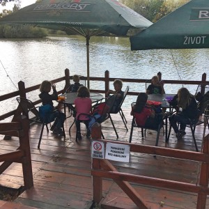 Výprava Lišek do Záchranné stanice v Bartošovicích (29.9.2019)