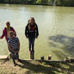 Výprava Lišek do Záchranné stanice v Bartošovicích (29.9.2019)
